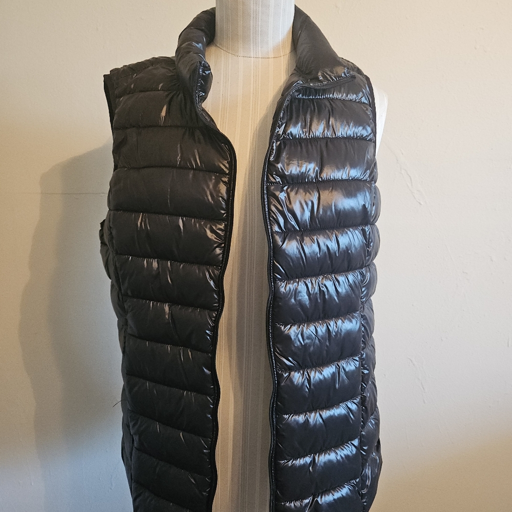 Aqua puffer best